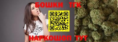 гидра Дубна