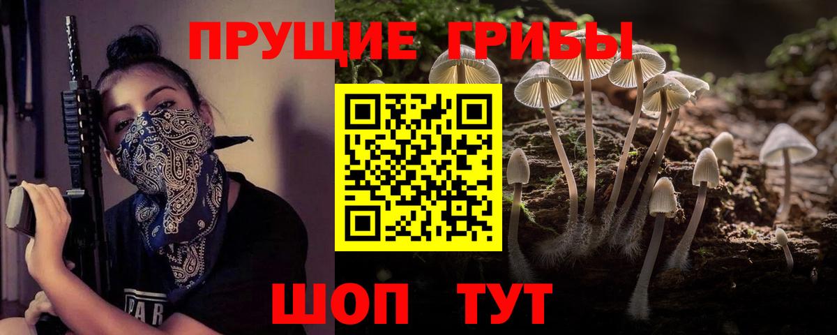Псилоцибиновые грибы мухоморы Елизово