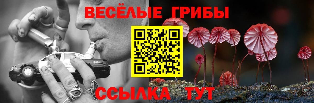 Елизово  Псилоцибиновые грибы мицелий  Вход с VPN 